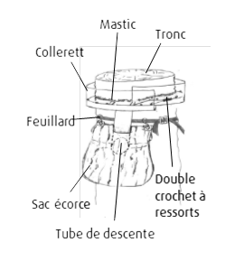 Schema collier Écopièe® chenille processionnaire