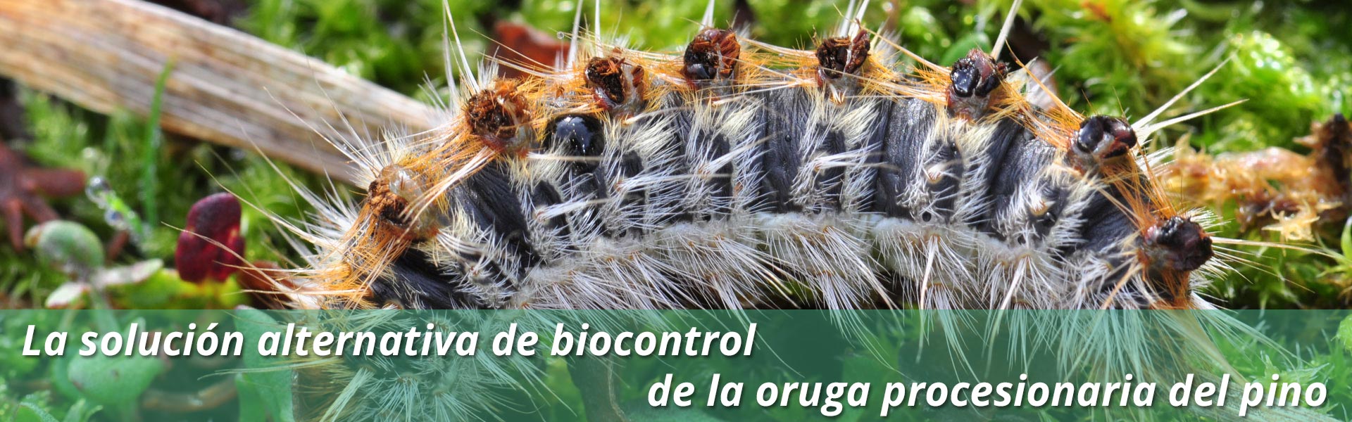 Écopiège®