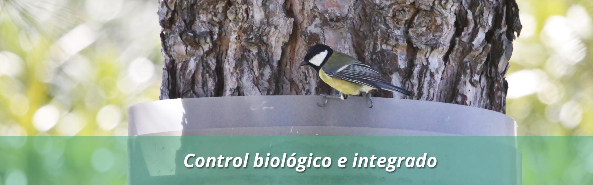 Écopiège®